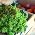 Jak hodować przeznaczone do spożycia rośliny brokułów?